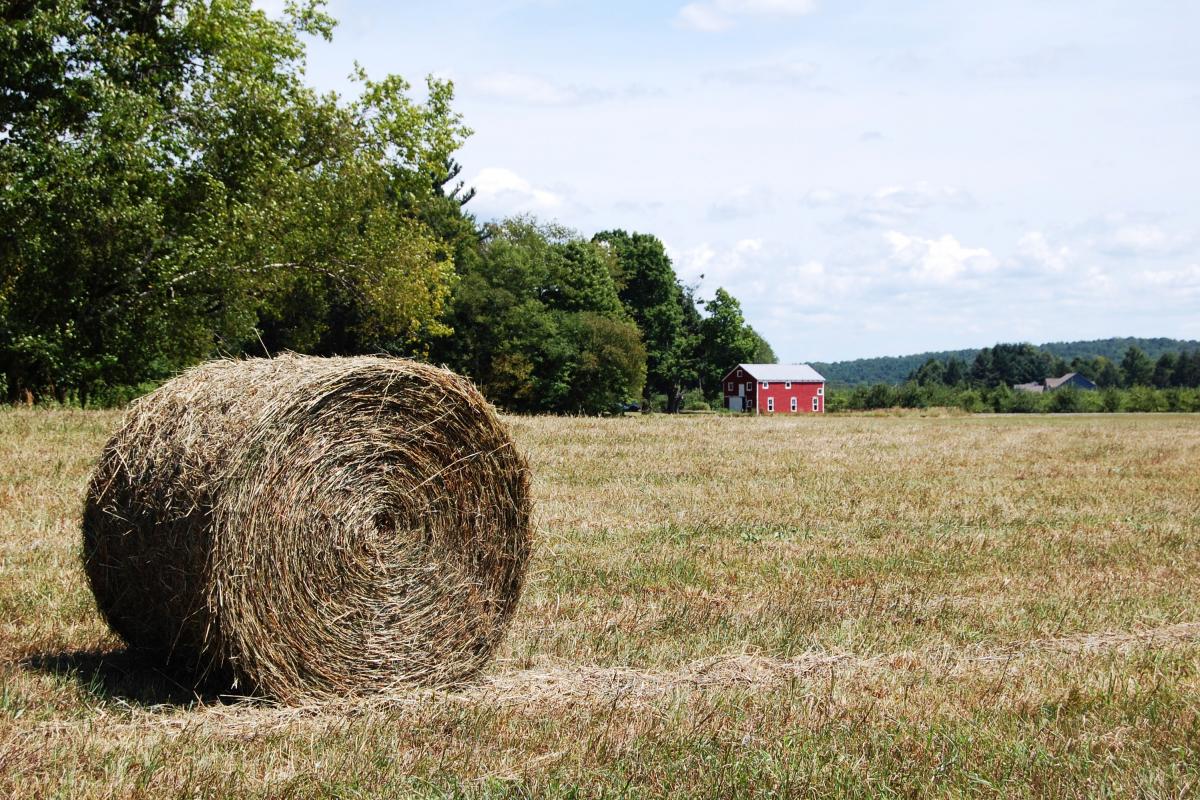 Bail of Hay in a Field