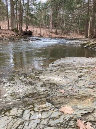 Creek at Town 